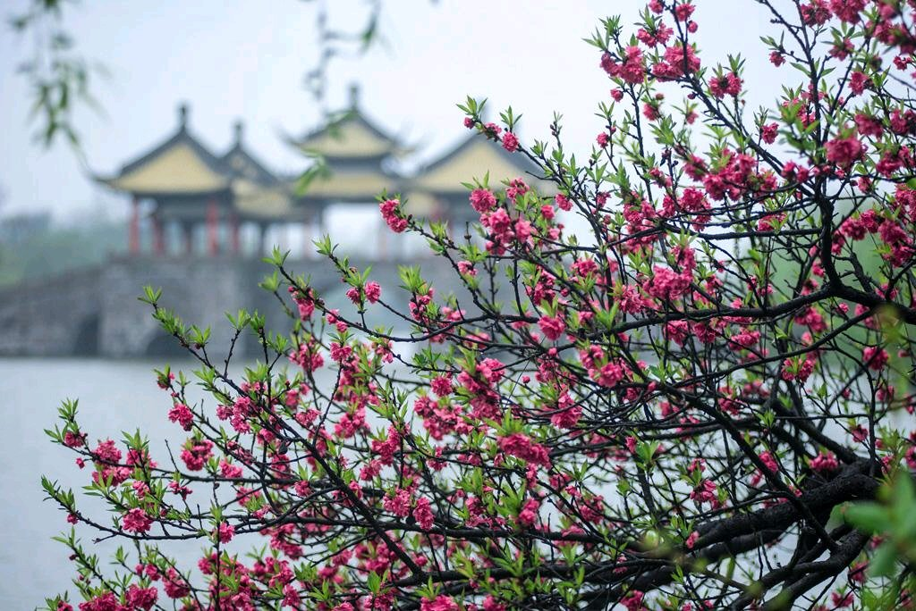 企业核心价值