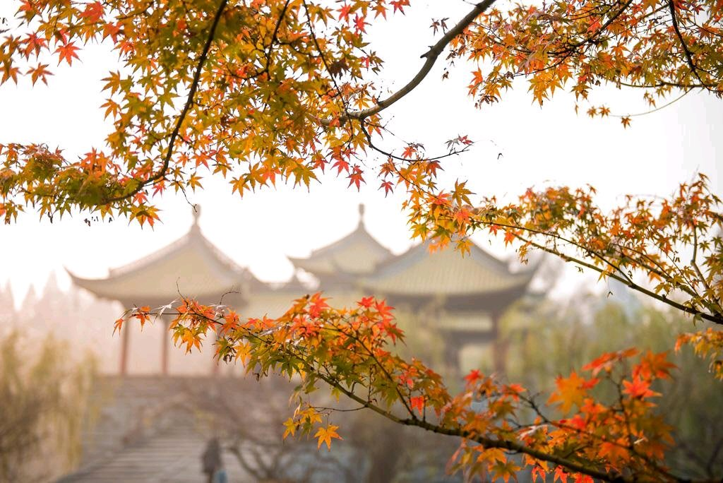 企业愿景